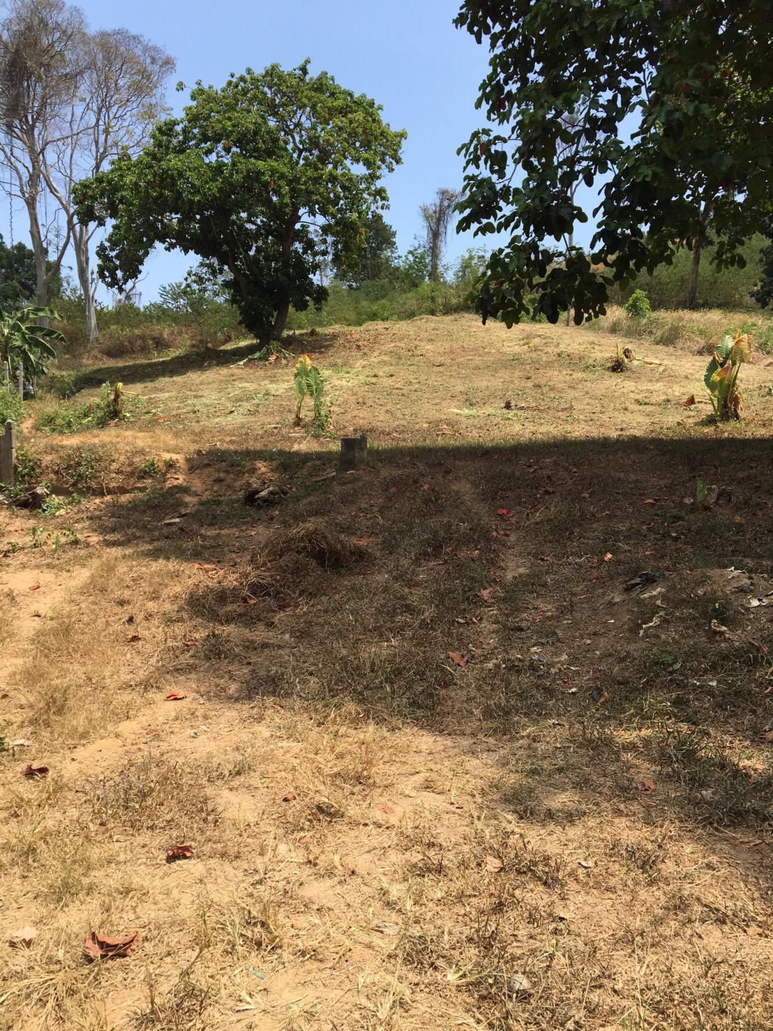 1 Rai Land for sale in Rawai