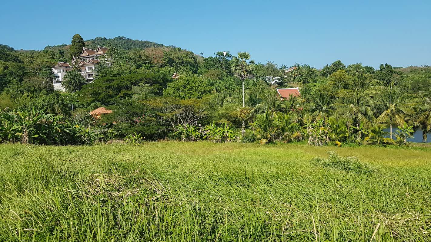 Land for Sales with Lake in Layan (ID: LFS-011)