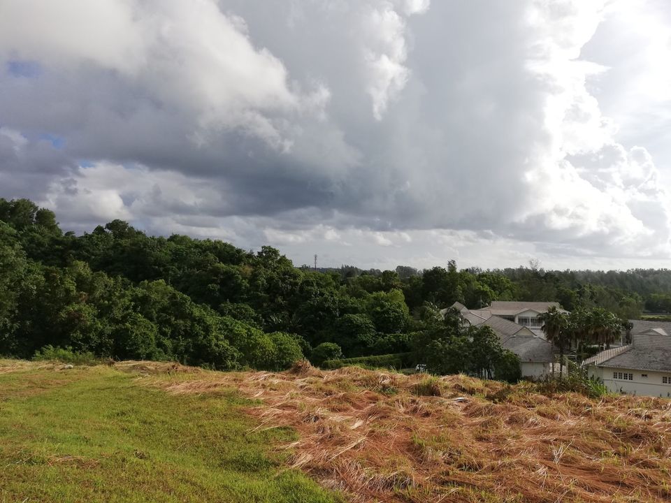 Elevated Land Plot Overlooking Layan in Layan (ID: LFS-015)