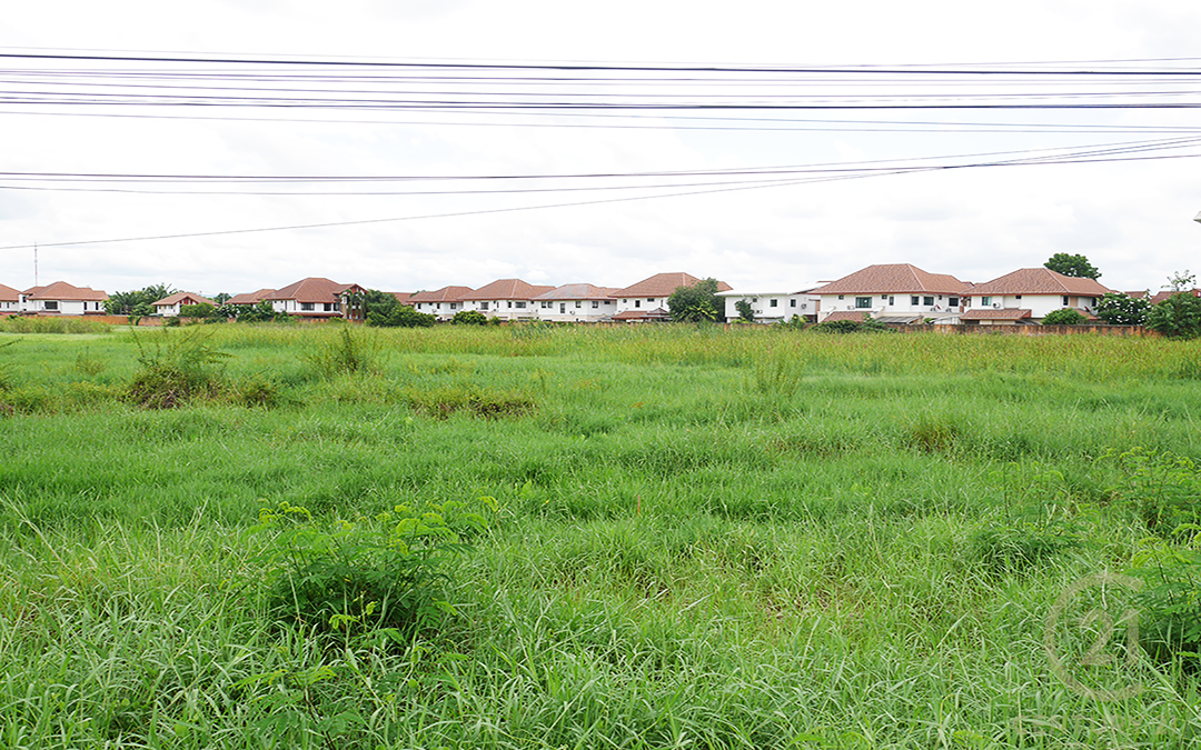 Land for sale at Pa Bong, Saraphi
