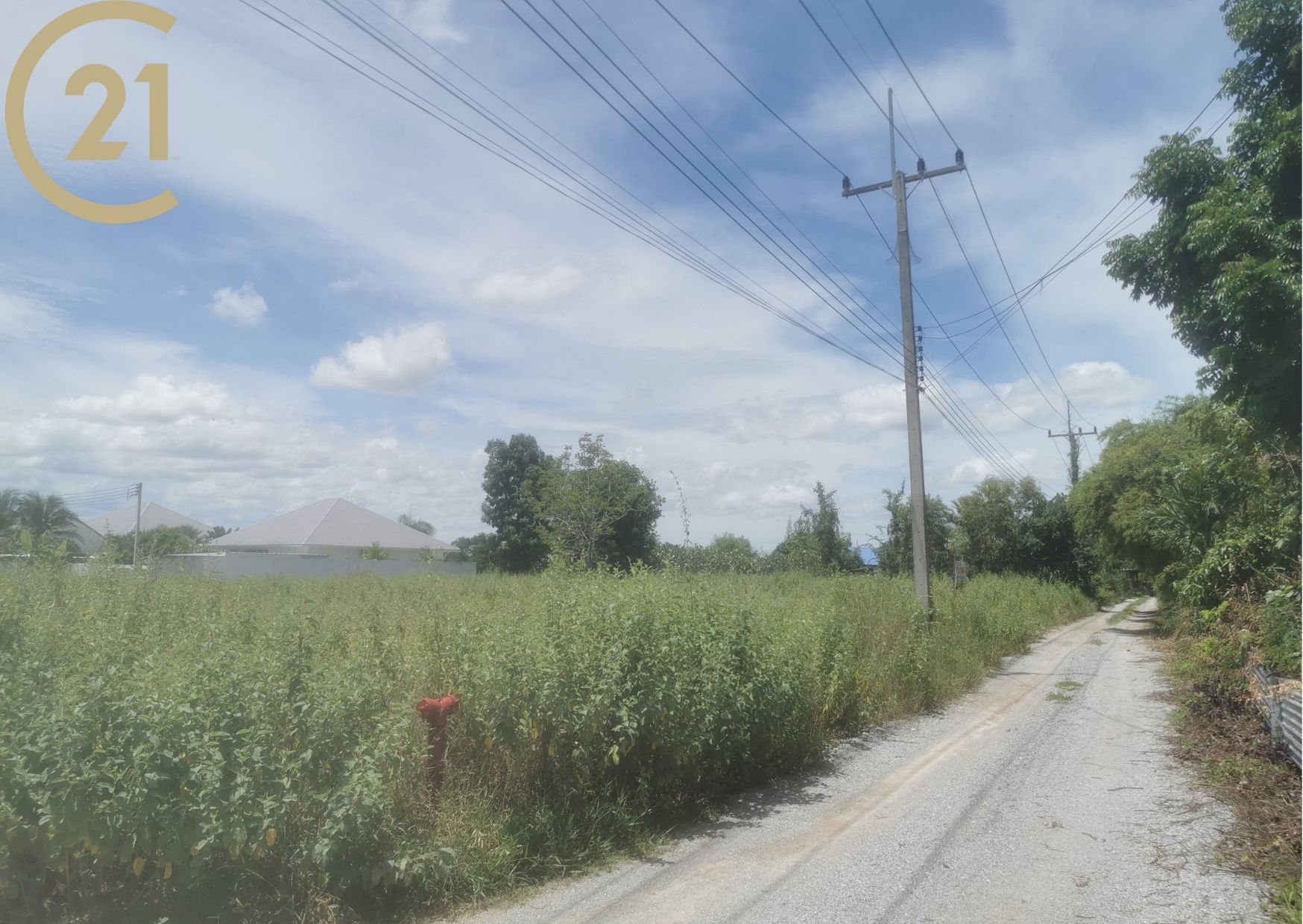 Land