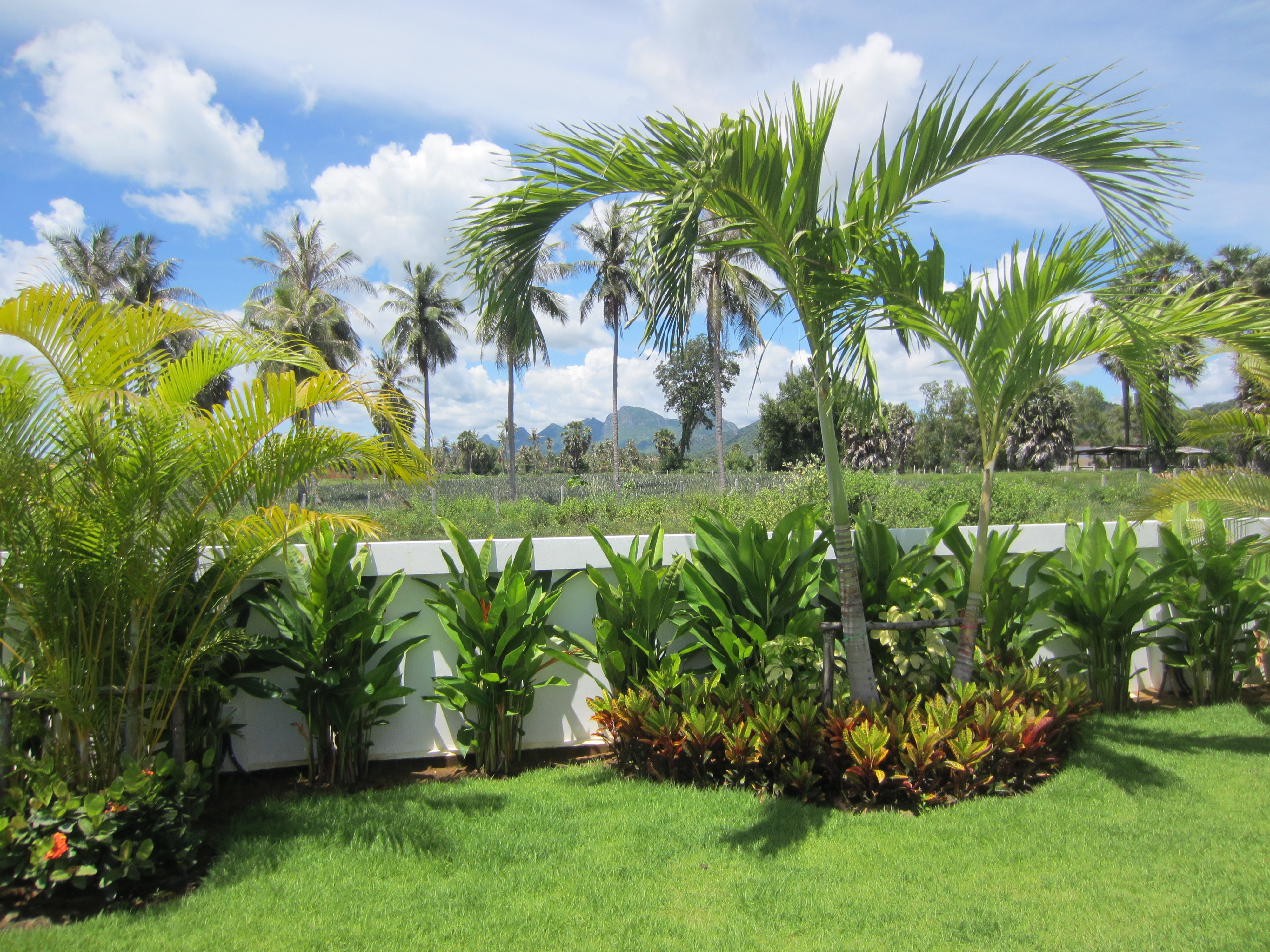 House Pool Villa