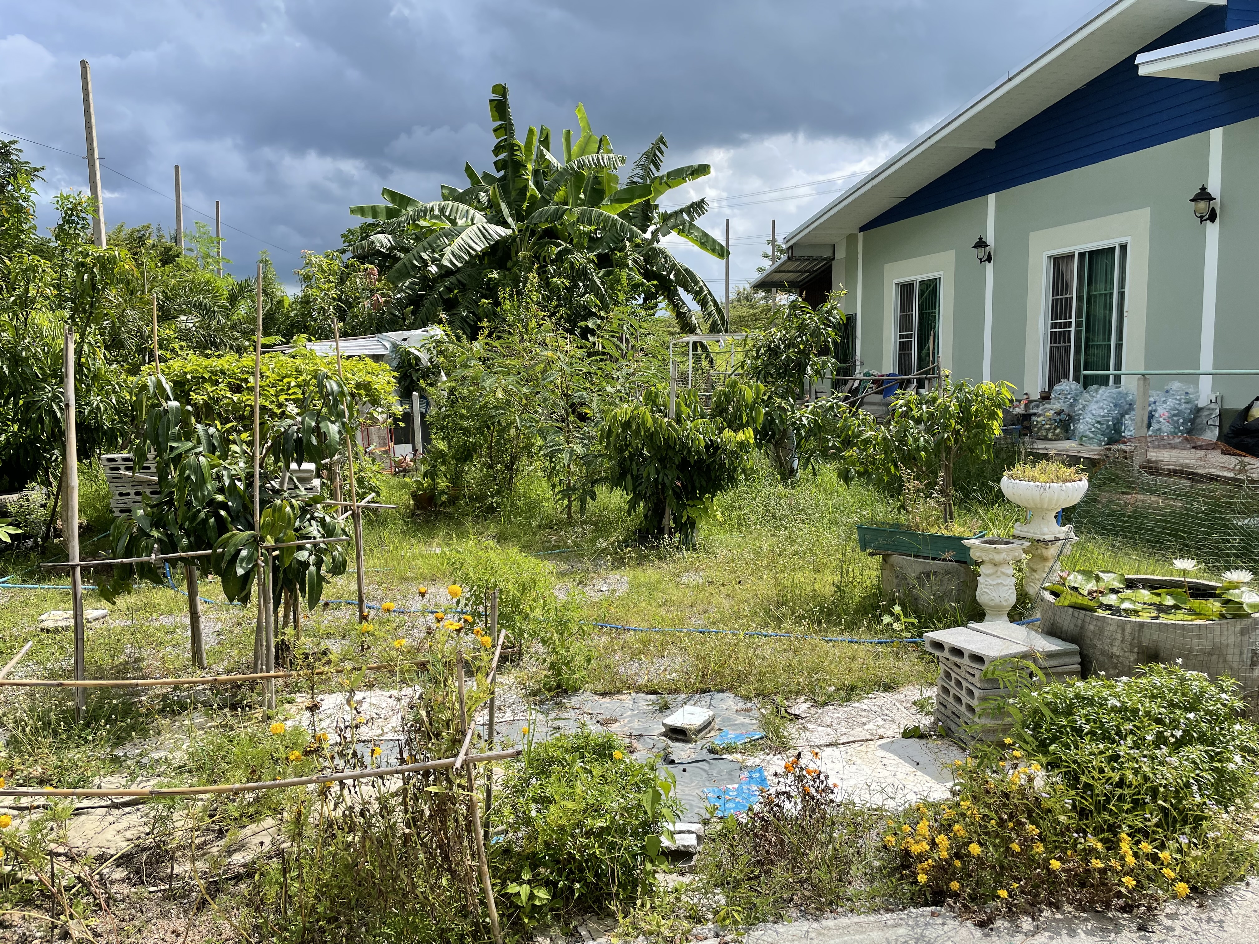 land with house for sale with mountain view