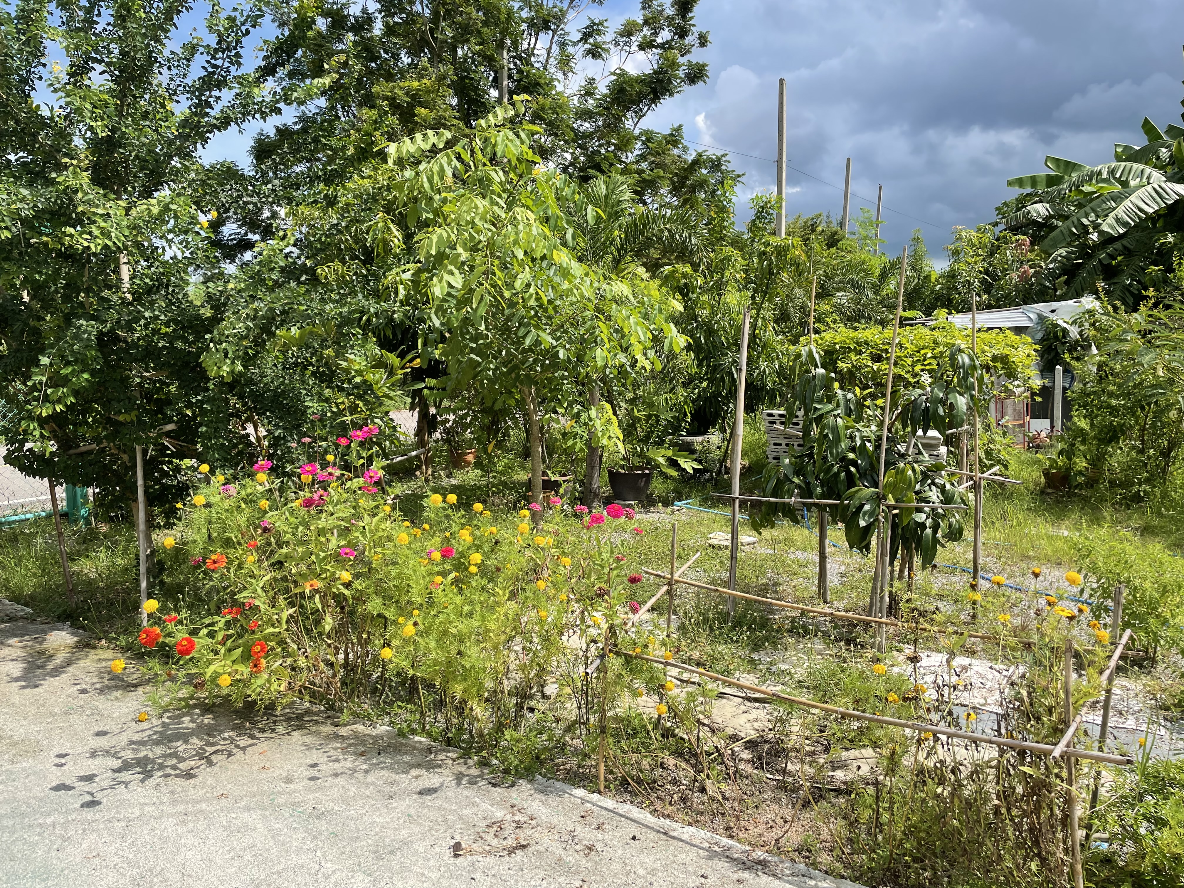 land with house for sale with mountain view