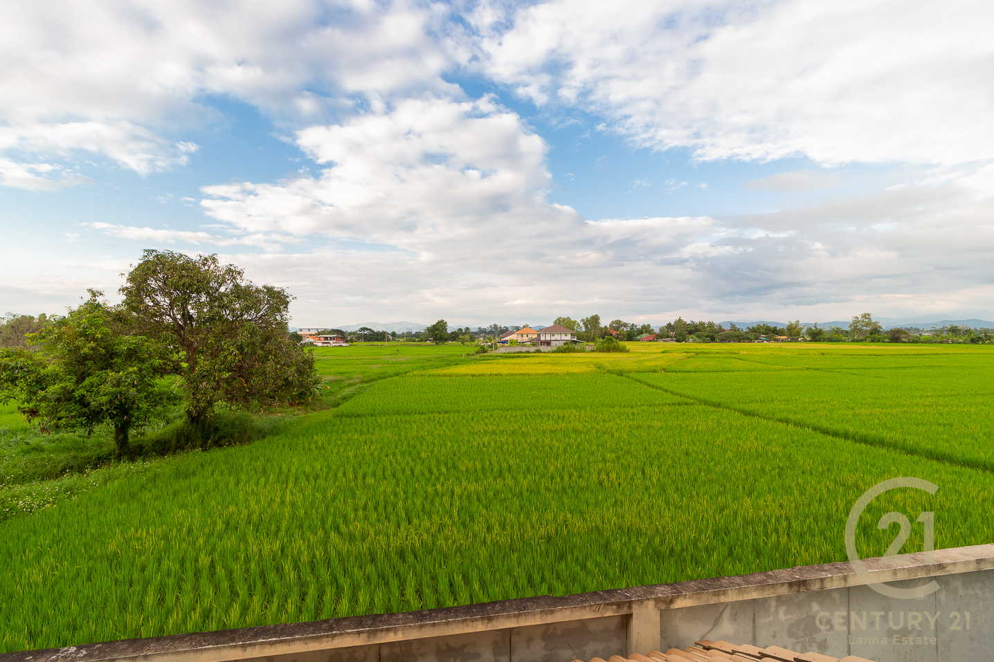 2-storey Detached House for SALE in Koolpunt Ville 15 Park Avenue Doi Saket