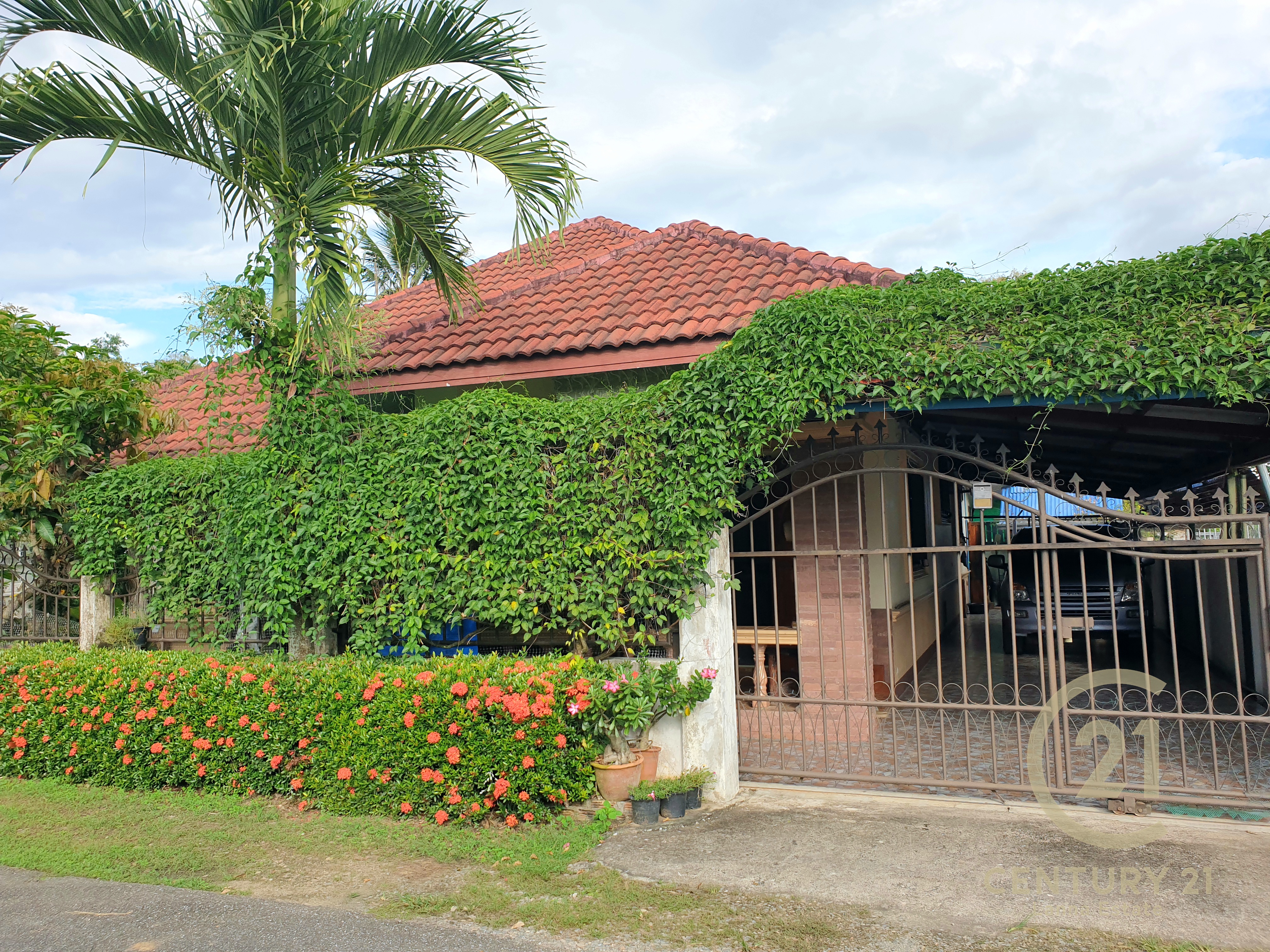 3 Bedroom House Sale San Phi Sua Chiang Mai