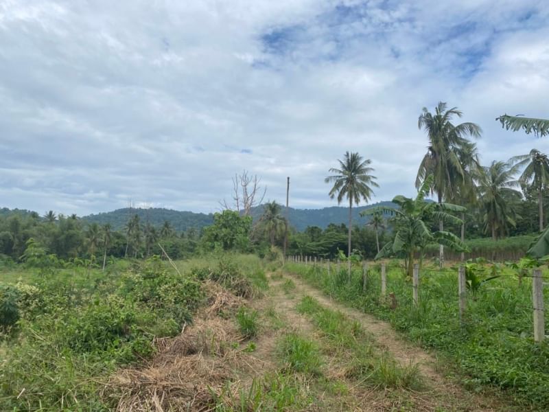 Land for sale in Si Racha. Sriracha Tiger Zoo 8 kilometers