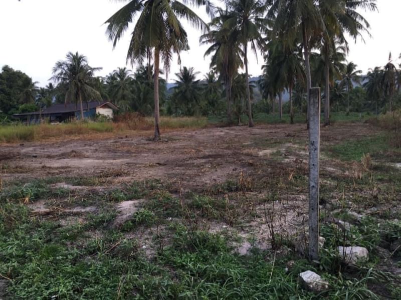 Land next to the road, shady atmosphere Chonburi-Sriracha