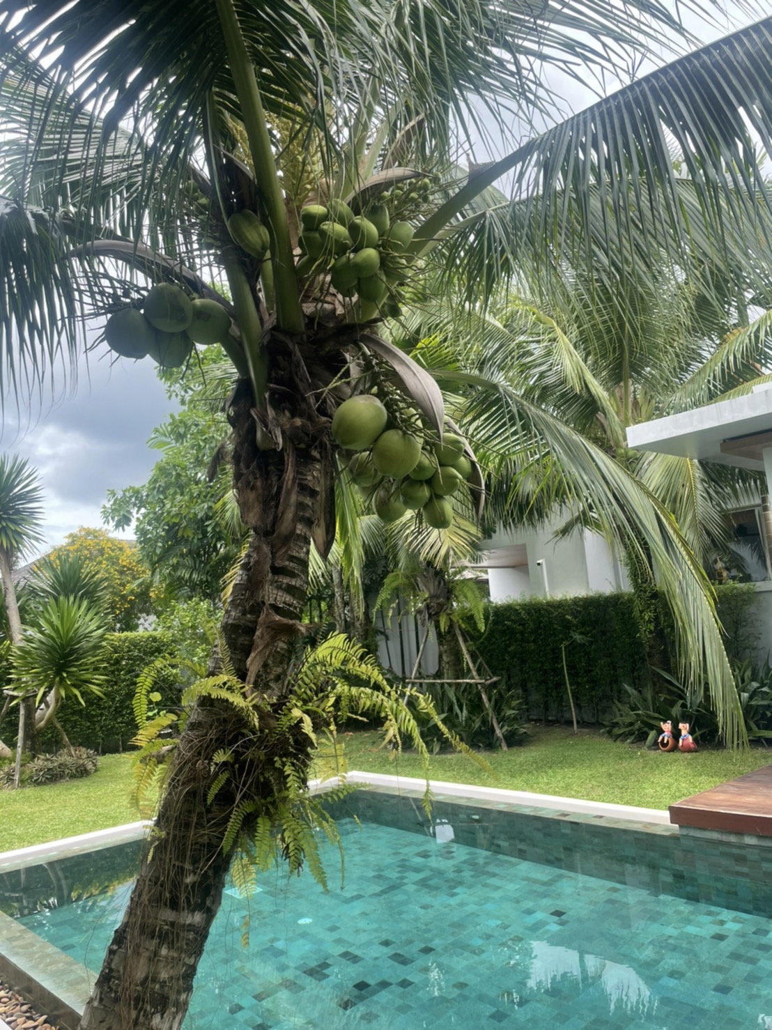 Luxury Pool Villa 3 bedrooms+1 Office room at Botanica Phase III