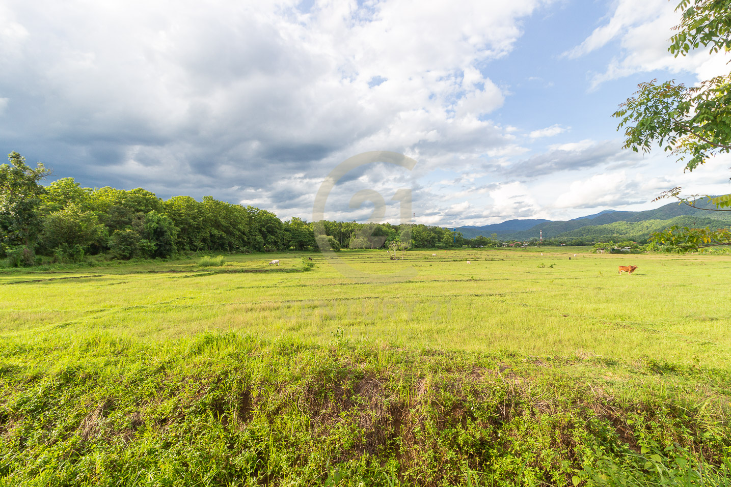 Land for SALE near Mae On District Office