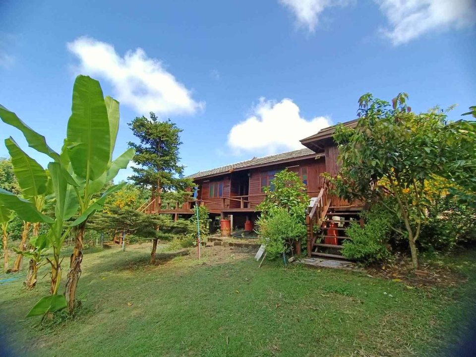 3-Bedroom Thai Lanna Style House for SALE